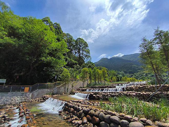 农民工遭遇重创：树枝横向贯穿胸腔后强行拔出事件纪实